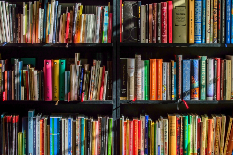 vitrine-FAYENCE-min_books_bookstore_book_reading_shop_writer_sale_books_read-822866